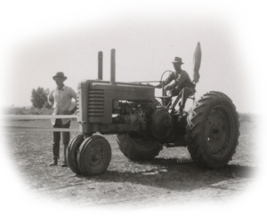 Historical photo of potato farmers on a tractor
