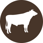 beef icon